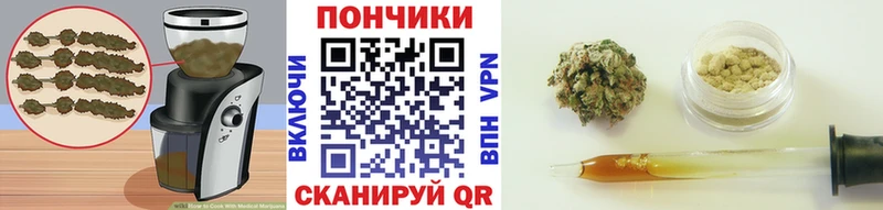 Canna-Cookies конопля  Полысаево 