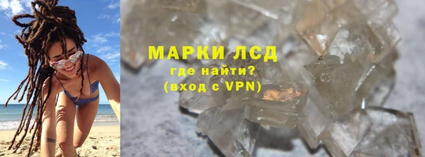 стафф Аркадак