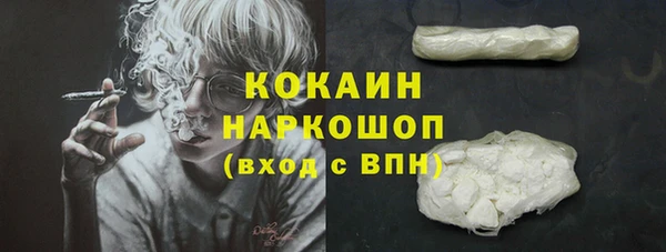 гидра Покачи