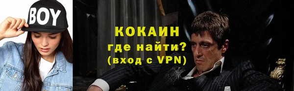 стафф Аркадак