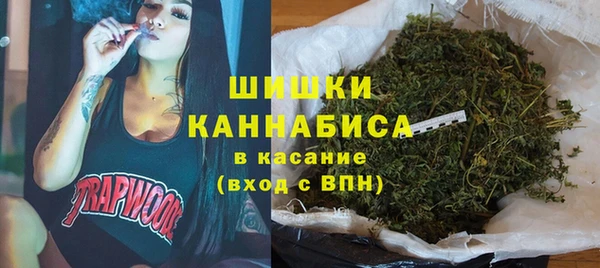 стафф Аркадак